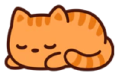 Cat Nap